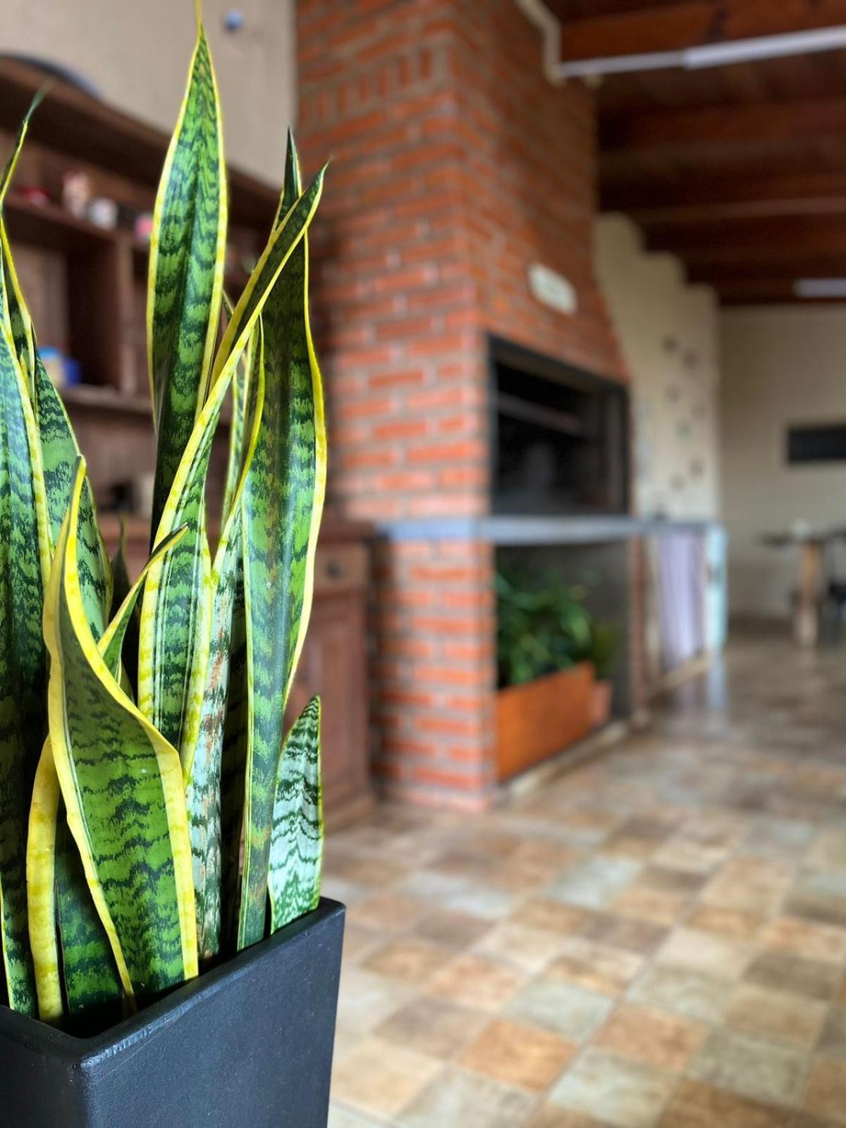 La Selva Monoambientes Apartment Puerto Iguazu Exterior photo